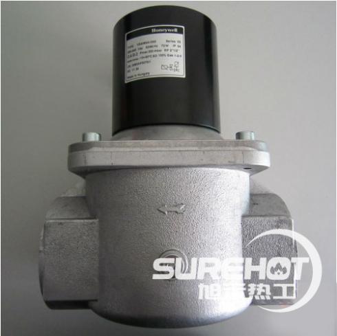 霍尼韦尔VE4065B1017 RP-DN65 大