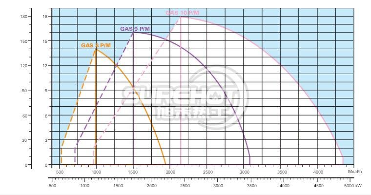 利雅路GAS10P/M负荷图